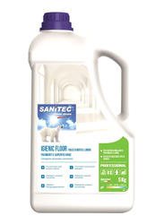 Sanitec Igiene Sicura Floor Cleaner, 5Kg, Clear