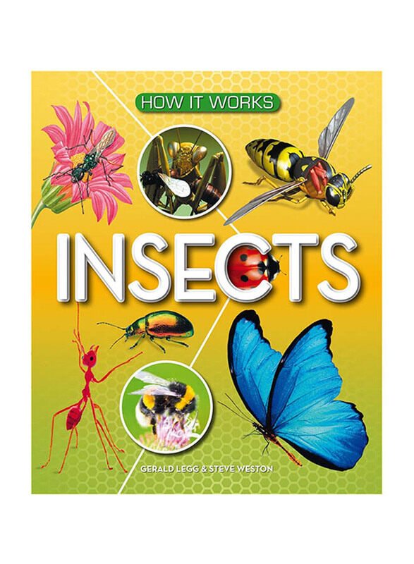 

How It Works Insects, Hardcover Book by Ruth Lindsay