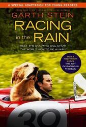 Racing in the Rain Movie Tie-In, Paperback Book, By: Garth Stein