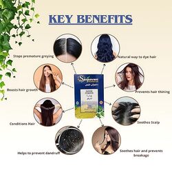 Sanjeevani Natural 100% Herbal Indigo Powder for Natural Hair Coloring, Organic Indigo Powder Protects Hair from Damage - 100 gm