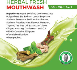 KP Namboodiri's Herbal Fresh Mouthwash - Alcohol Free - Fights Germs - Helps Prevent Cavities - For Long-lasting Fresh Breath - 250 ml