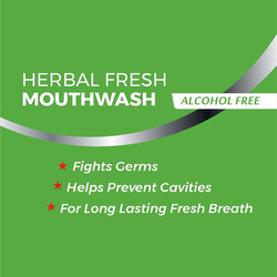 KP Namboodiri's Herbal Fresh Mouthwash - Alcohol Free - Fights Germs - Helps Prevent Cavities - For Long-lasting Fresh Breath - 250 ml