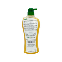 Dhathri Dheedhi Protein Shampoo Enriched with Natural Protein Nourishers  Hair Nourisher  - 650ml