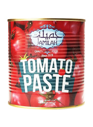 Jamilah Premium Quality Thick Tomato Paste, 800g