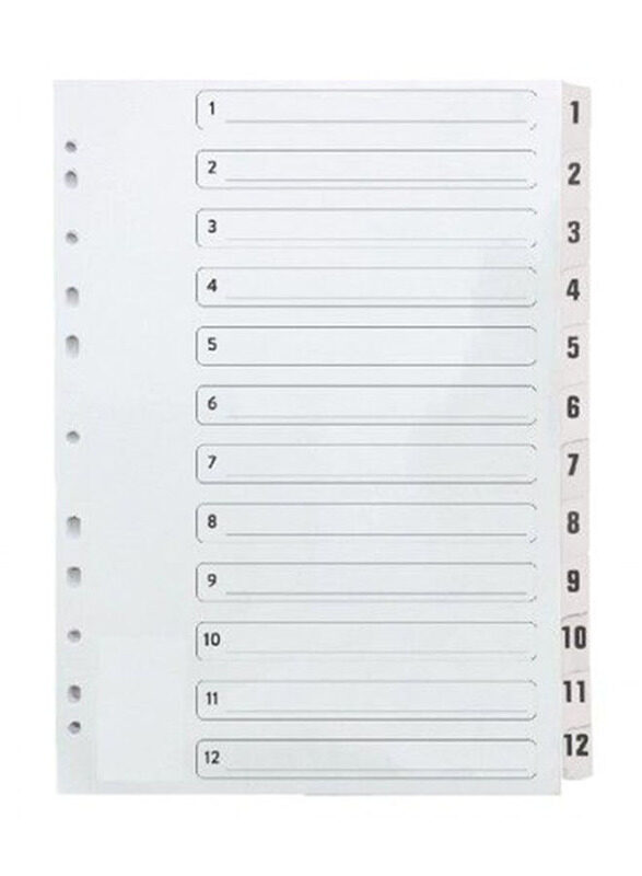 

Deluxe Amt Index Divider with Number, BTS4-025, Grey