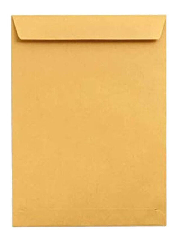 

Generic 200-Piece Envelopes, A4 Size