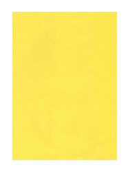 Terabyte Colour Paper, 100 Sheets, A4 Size, Yellow