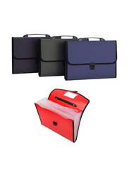 13 Pockets Expanding Files with Tie, Assorted