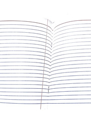 Psi Single Line Exercise Book with Right Margin, 6 x 100 Pages