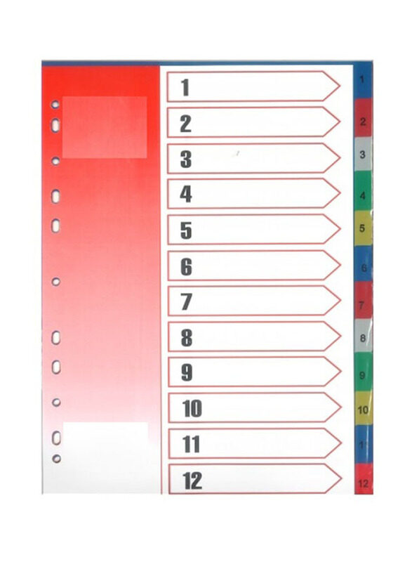 

Deluxe Amt Index Divider with Number, 20 Pieces, Multicolour