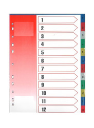 Deluxe Amt Index Divider with Number, 20 Pieces, Multicolour