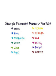 Sharpie 12-Piece Fine Point Permanent Marker, Black