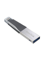 SanDisk 128GB USB 3.0 iXpAnd Mini Flash Drive, SDIX40N-128G-GN6NE, Grey