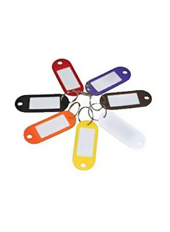 Partner Plastic Key Chain Set, 100 Pieces, Multicolour