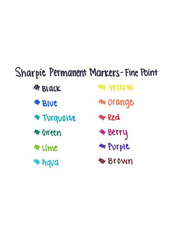 Sharpie 12-Piece Permanent Marker Set, Black
