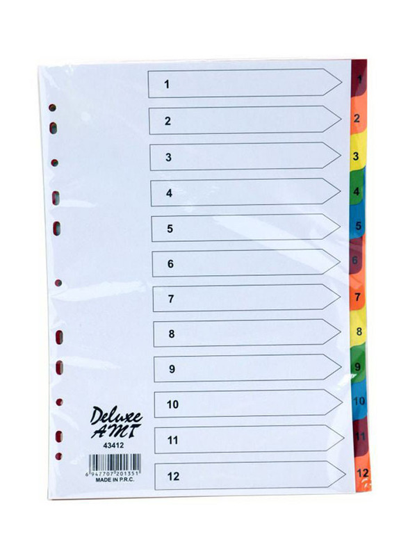 Deluxe A4 Paper Divider, 10 Pieces, Multicolour