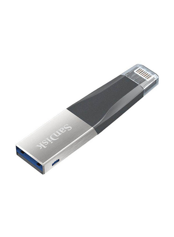 SanDisk 128GB USB 3.0 iXpAnd Mini Flash Drive, SDIX40N-128G-GN6NE, Grey