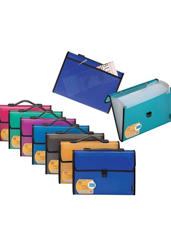 Foldermate 13-Pockets A4 Size Expanding File, 10 Pieces, Multicolour