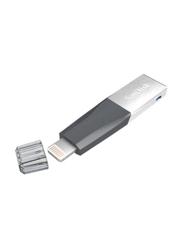 SanDisk 128GB USB 3.0 iXpAnd Mini Flash Drive, SDIX40N-128G-GN6NE, Grey