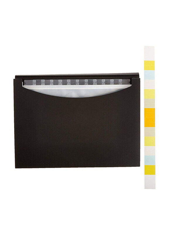 Foldermate A4 Size Expandable File with 13 Pockets, Black