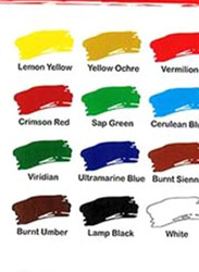 Funbo Acrylic Colour Set, 12 Pieces, Multicolour