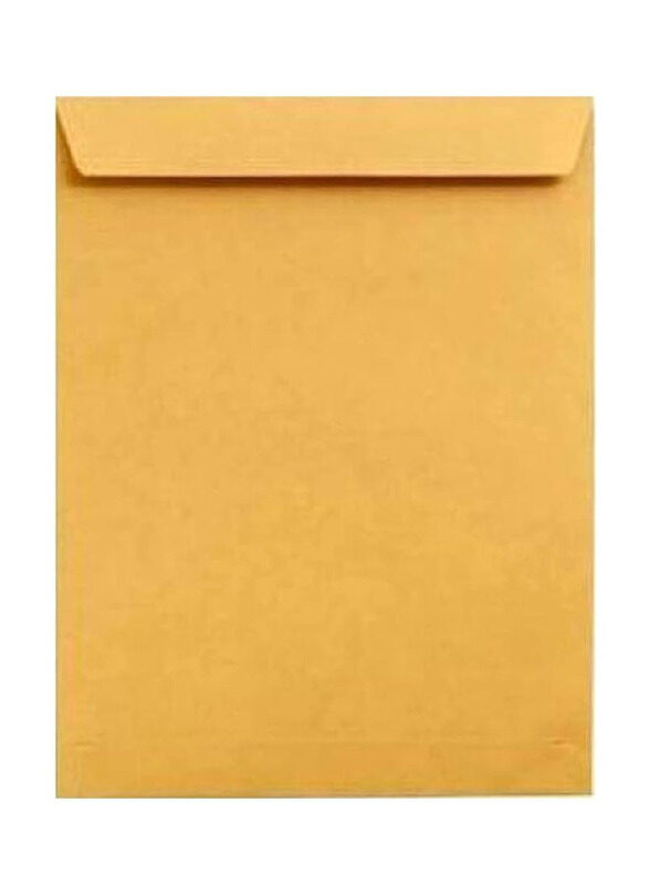 

Generic Envelope Document, 50 Pieces, A4 Size, Brown