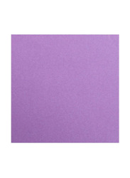 Terabyte Craft Card Paper, 20 Sheets, 180-210 GSM, A3 Size, Purple