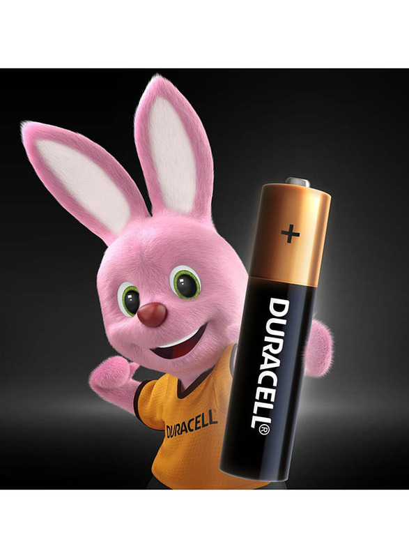 Duracell AAA Alkaline Battery Set, 12 Pieces, Black/Brown