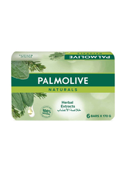 Palmolive Naturals Rosemary and Thyme Extracts Herbal Bar Soap, 6 x 170g