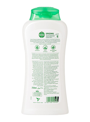 Dettol Original Anti-Bacterial Body Wash, 2 x 250ml