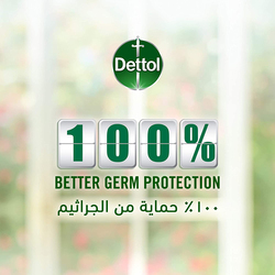 Dettol Skincare Anti-Bacterial Liquid Hand Wash, 2 x 200ml