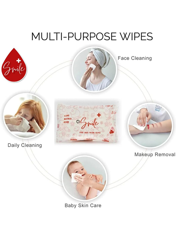 Smile+ 6-Piece Pure Rose Water Wipes, 480 Wipes