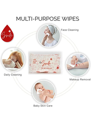 Smile+ 6-Piece Pure Rose Water Wipes, 480 Wipes