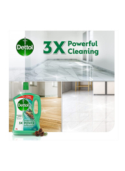 Dettol Pine Antibacterial Power Floor Cleaner, 3Litres