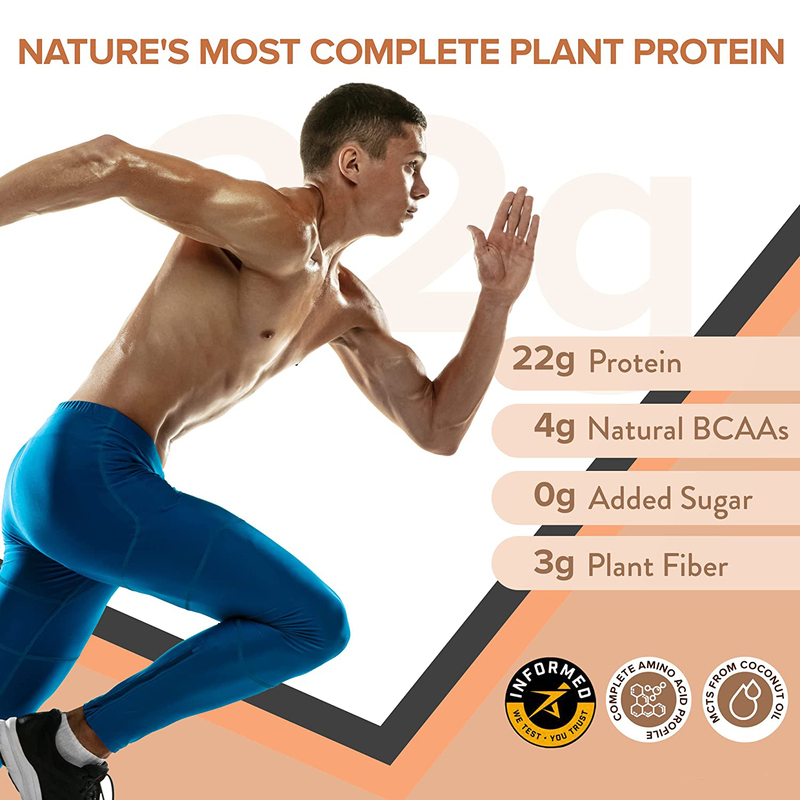 Wellbeing Nutrition Superfood Plant Protein, 500g, Dark Chocolate Hazelnut