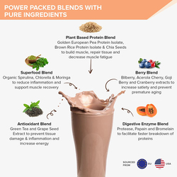 Wellbeing Nutrition Superfood Plant Protein, 500g, Dark Chocolate Hazelnut