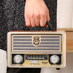 Portable Wooden Retro Radio Wireless Bluetooth Speaker AM FM Radio, with Remote Control Mini Vintage Radio for Home Office Use