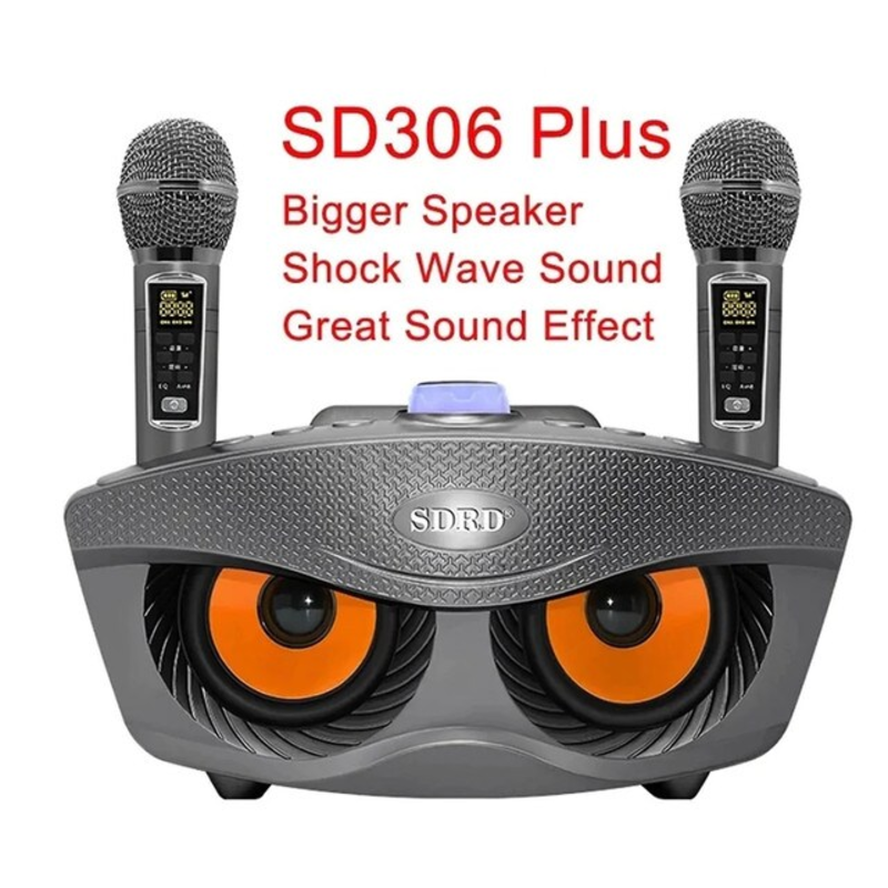 Portable Speaker player radio with bluetooth family KTV speaker with 2 wireless microphones 30w