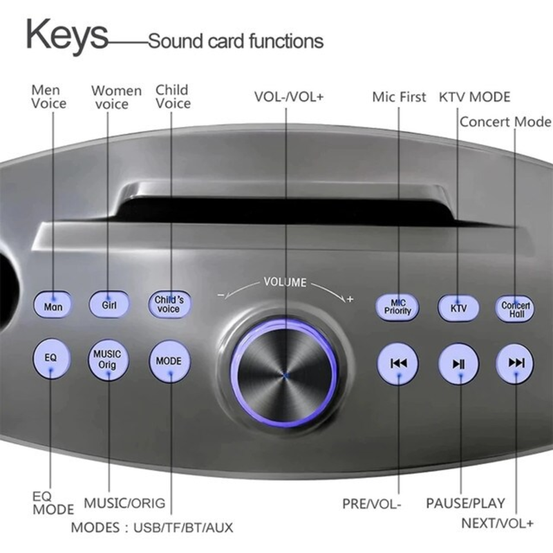 Portable Speaker player radio with bluetooth family KTV speaker with 2 wireless microphones 30w