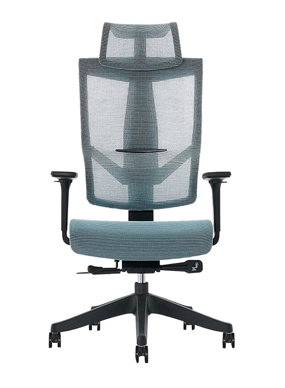 Navodesk Aero Ergonomic Design Multi Adjustable Premium Office & Computer Chair, Space Blue