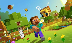Minecraft for Nintendo Switch by Mojang
