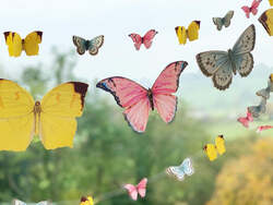 Talking Tables Truly Fairy Mini Butterfly Bunting, 5 Meter, Multicolour