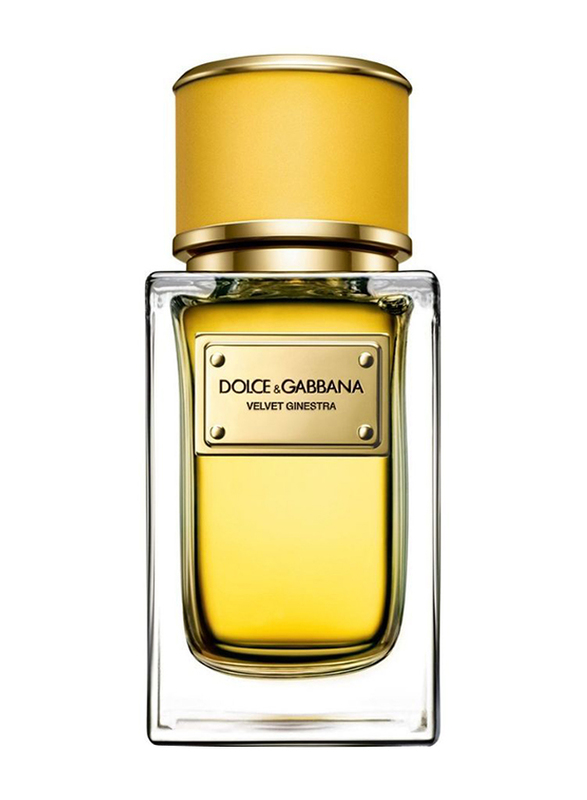 Dolce & Gabbana Velvet Ginestra 150ml EDP for Women