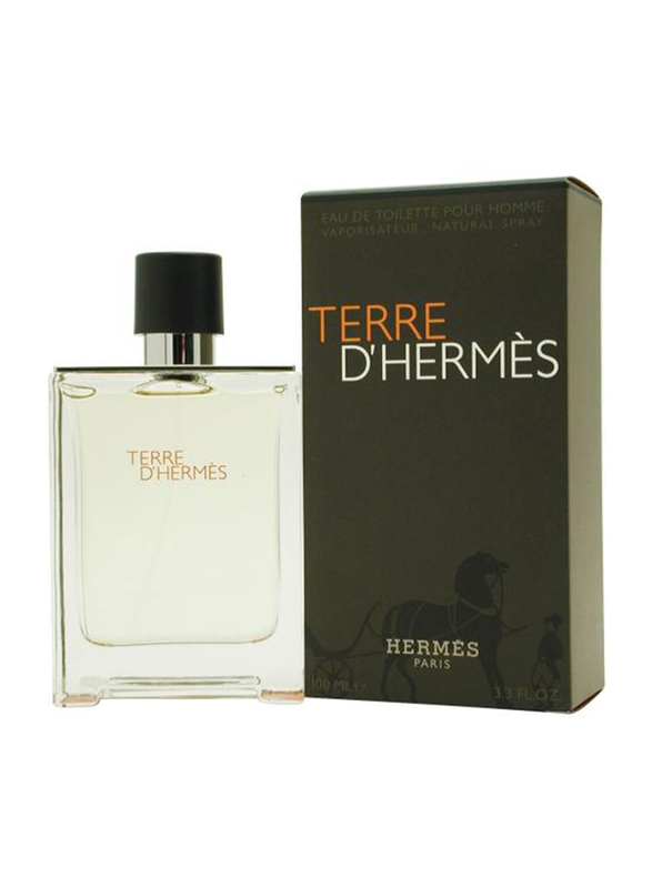 Hermes Terre D'Hermes 100ml EDT for Men