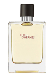 Hermes Terre Hermes 100ml EDT for Men