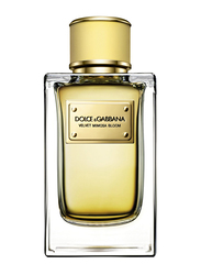 Dolce & Gabbana Velvet Mimosa Bloom 150ml EDP for Women