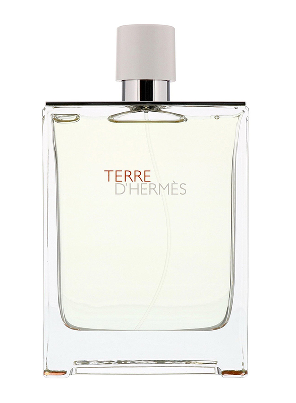 Hermes Terre D'Hermes 100ml EDT for Men