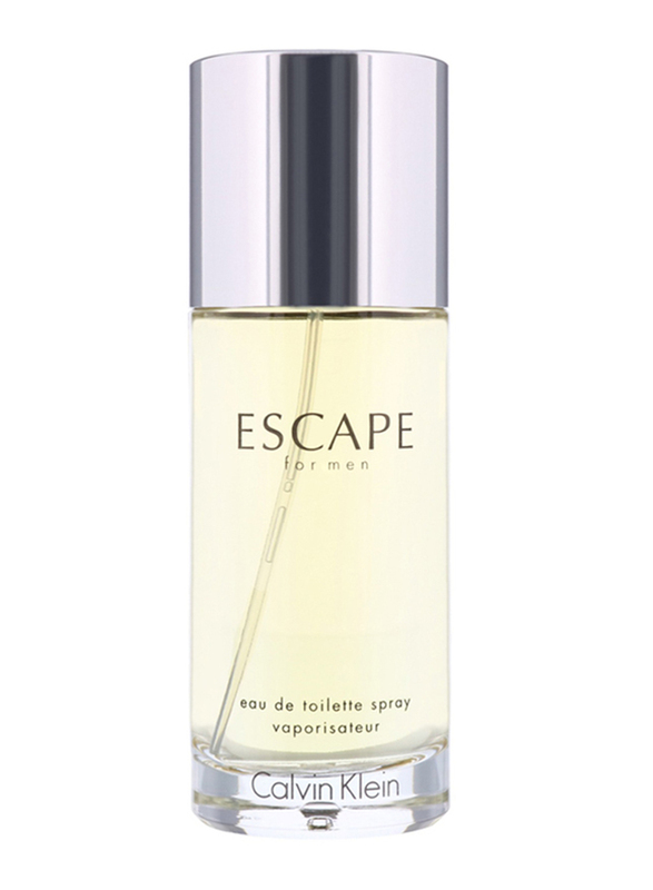 Calvin Klein Escape 100ml EDT for Men