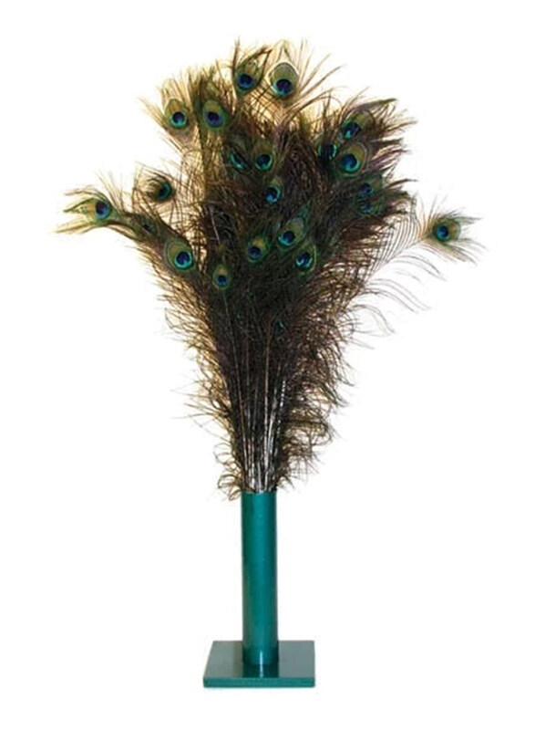 

Vee Natural Peacock Feathers Cat Toy, Bundle/100-feather, Multicolour