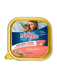 Miglior Gatto Salmon Flavoured Wet Food for Cat, 100g